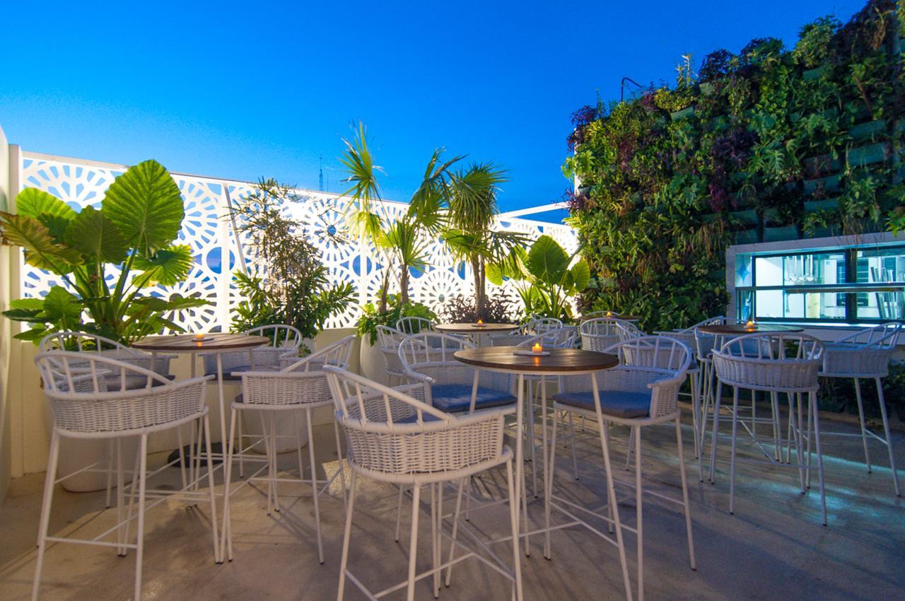 Hotel Morgana By Iter Sensibus Playa del Carmen Exteriör bild